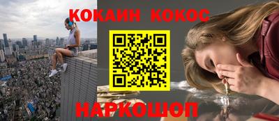 mdpv Заводоуковск