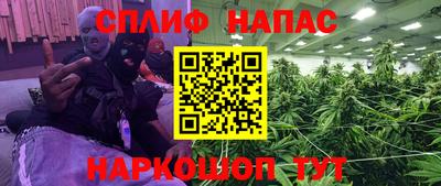 mdpv Заводоуковск