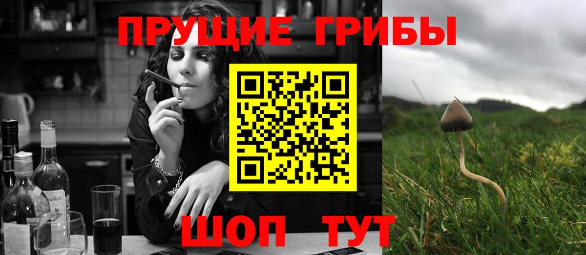 Галлюциногенные грибы MAGIC MUSHROOMS Ленинск-Кузнецкий